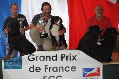 hanoi et dixie grand prix de france 2015 Elevage du Clos de la Luette